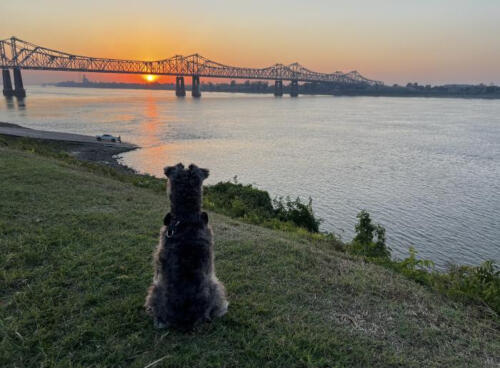 Wonder-by-Corey-Long